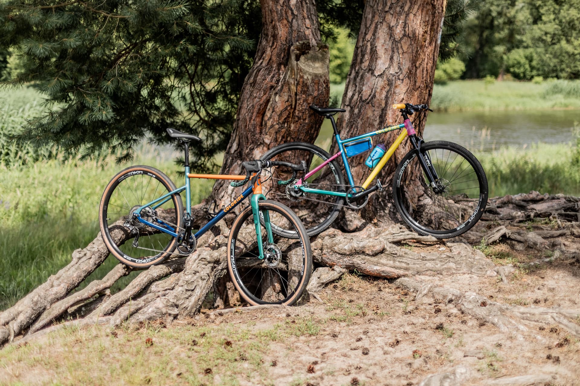 The Forester Builds a Bike